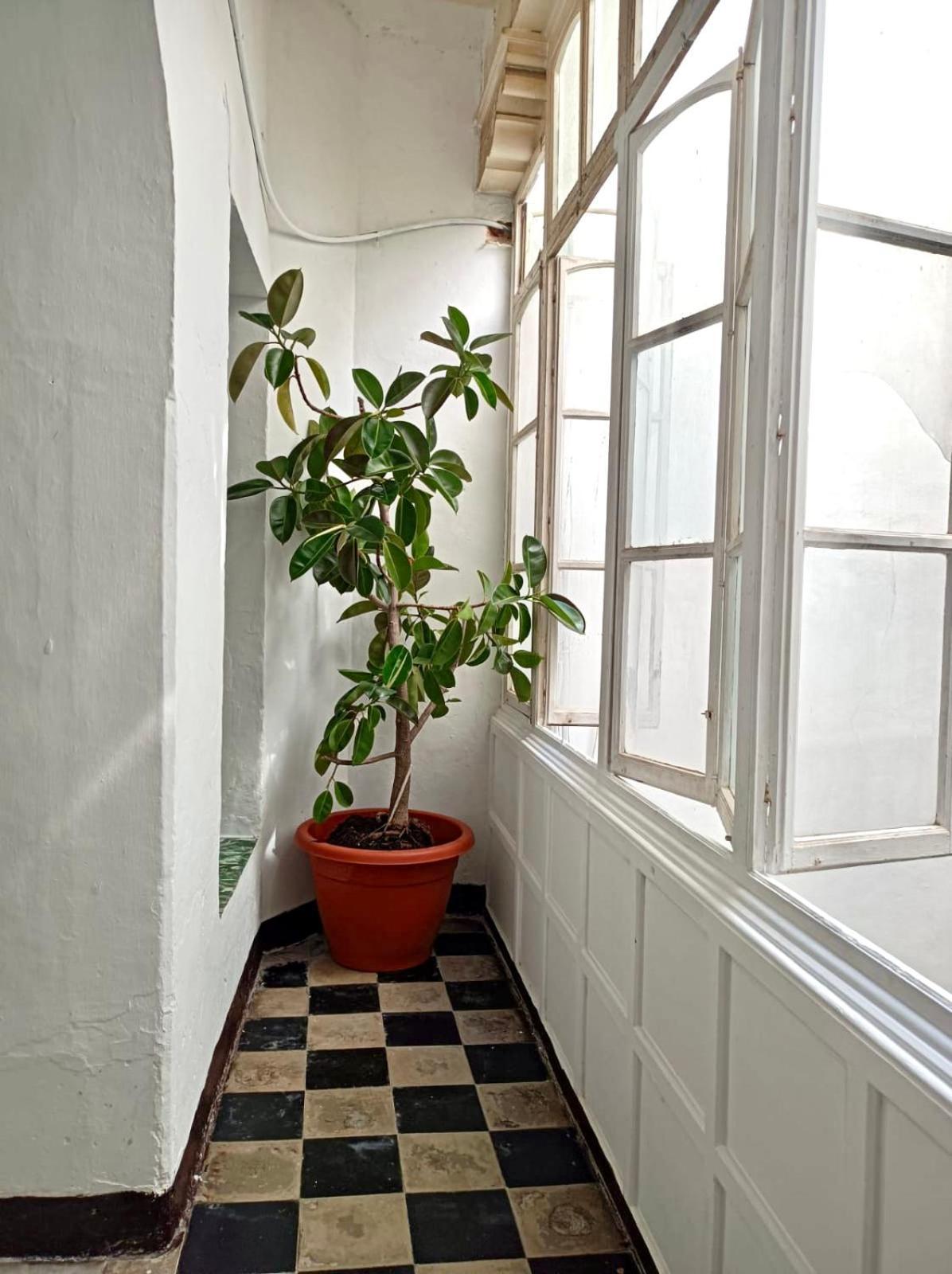 Precioso Apartamento: La Luz De Cadiz Exterior photo